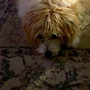 Lazy posher helper. Most things on sale…..;prices will go back up after w/e.